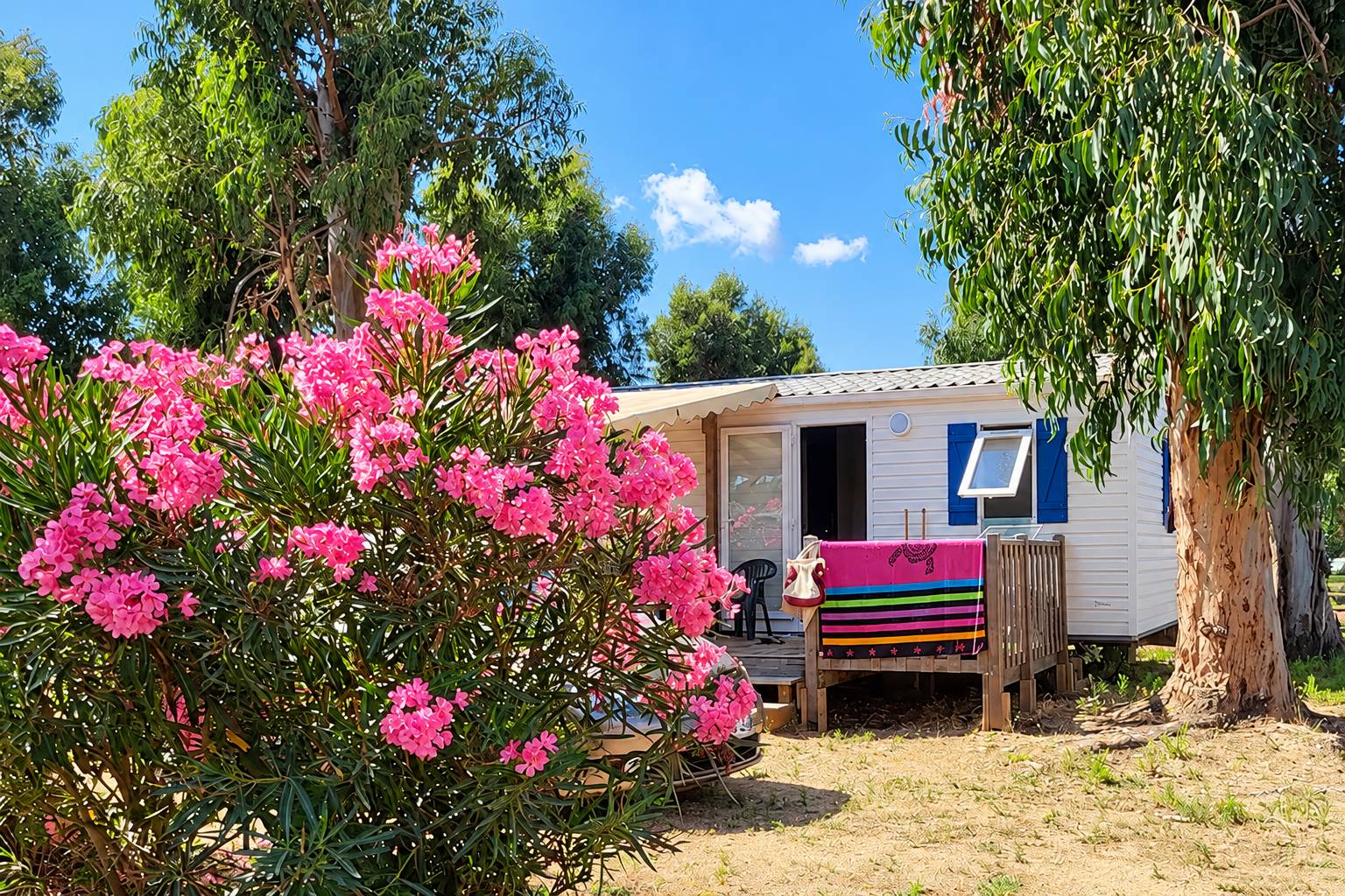 Un mobil-home blanc aux volets bleus avec une terrasse en bois où sèche une serviette rayée, derrière un laurier-rose en fleurs et sous de grands eucalyptus.