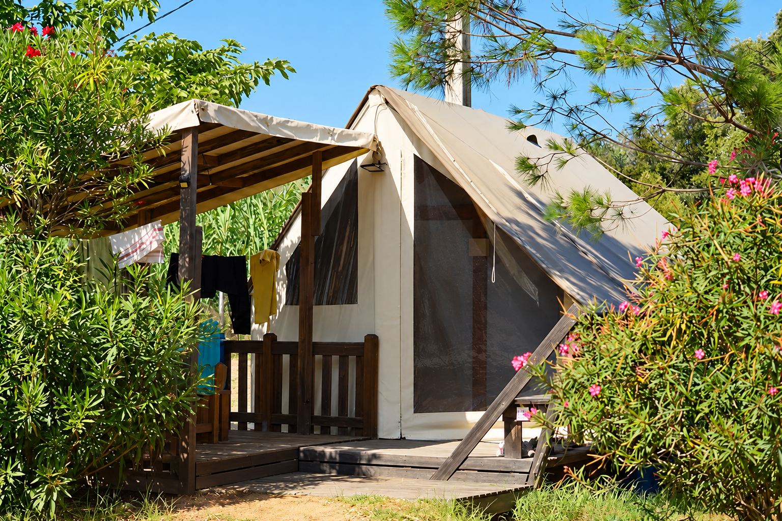 Une tente lodge en toile beige avec une terrasse couverte en bois, du linge qui sèche et des lauriers-roses en fleurs au premier plan.